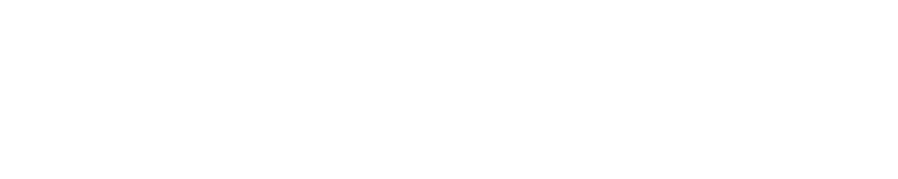 SpeedyBee Products